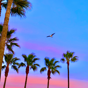 午夜精品一区二区三区在线视频
